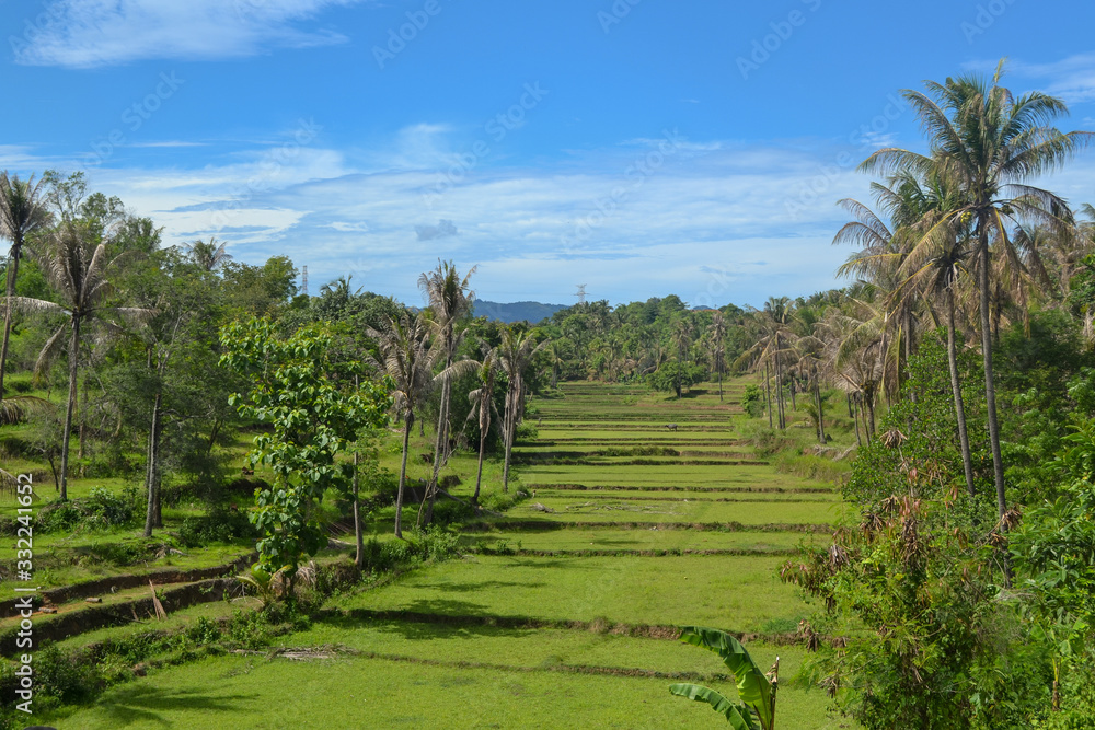  Rice terraces waiting for planting season