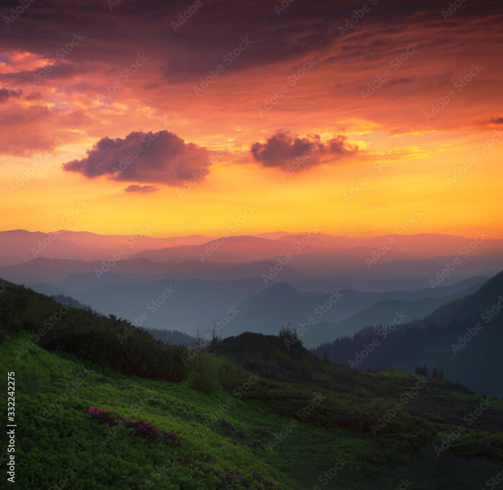 Fototapeta premium gorgeous morning summer view, majestic sunrise landscape with meadow on background foggy valley, splendid dawn nature scenery