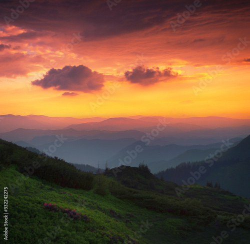 gorgeous morning summer view, majestic sunrise landscape with meadow on background foggy valley, splendid dawn nature scenery