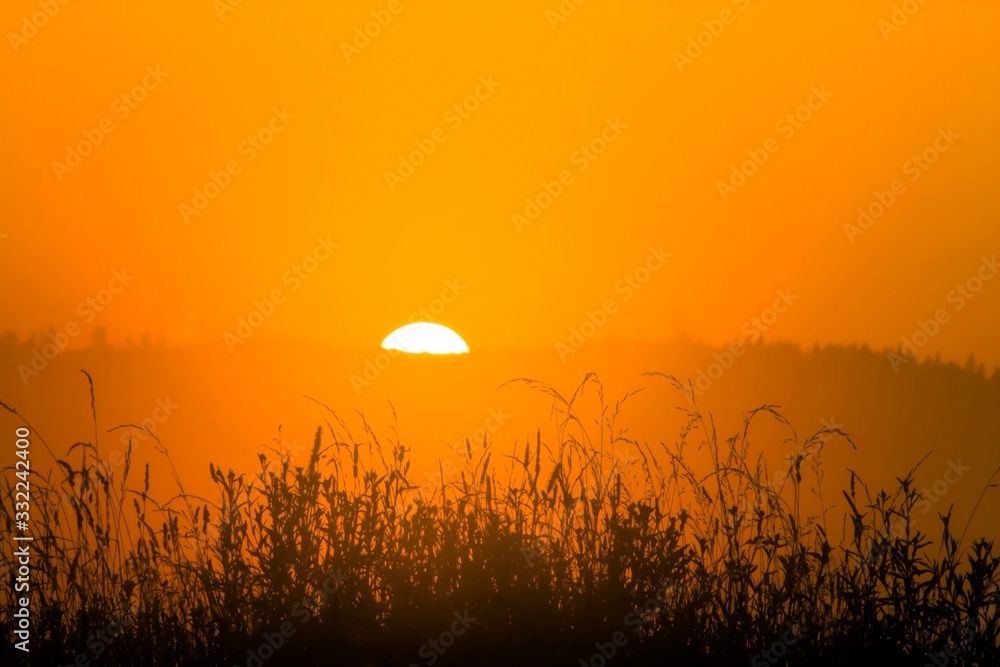 amazing morning view, grass in golden sunlight rising sun, awesome summer nature landscape in the mountains, wallpaper sunrise  image, Europe