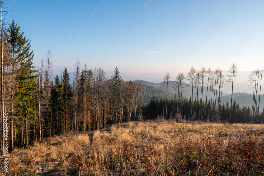 meadow in mountains in spring at sunrise with fog in background, Czech Beskydy meadow in mountains in spring at sunrise with fog in background, Czech Beskydy