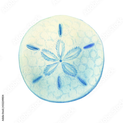 Illustrations of underwater life objects - blue sea shell sand dollar, marine design. Watercolor hand drawn painting illustration isolated on white background.