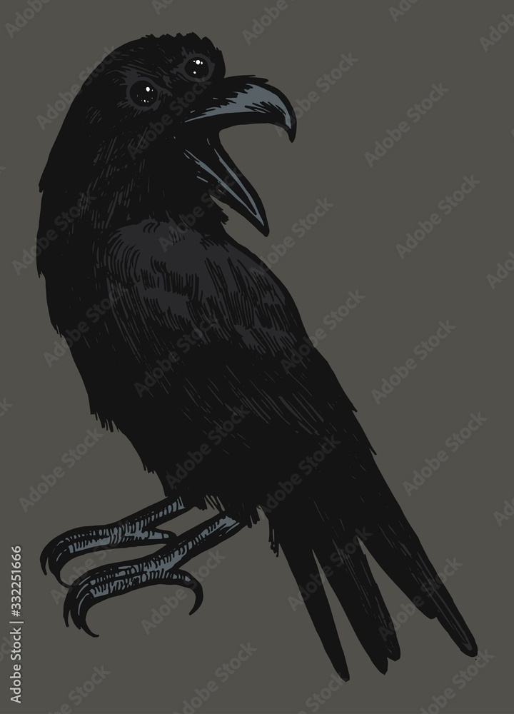 Fototapeta premium Three eyed raven. Occult bird illustration.