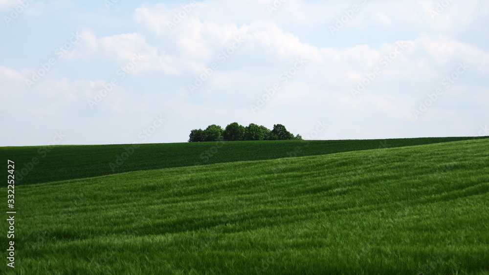 Kornfeld Kornfeld