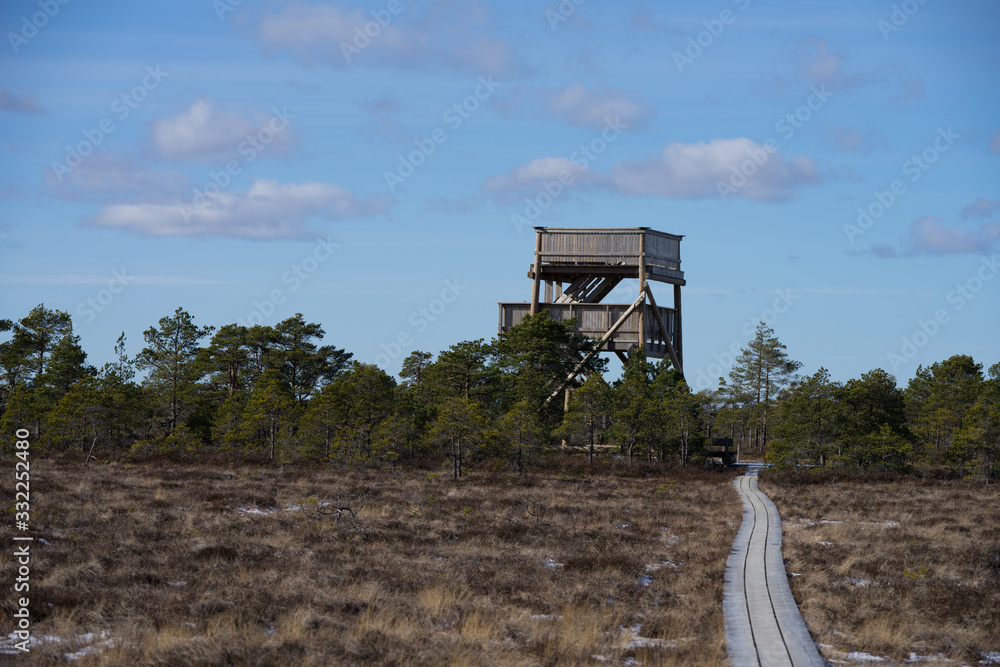 Wooden pathway over frozen bog surface leading to watch tower. Early spring, bright blue sky, white clouds and  bonsai size pine trees. Nature reserve to protect vulnerable swamp environment. Estonia.