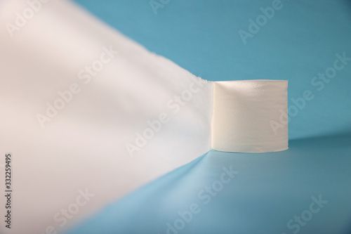 Fotografie General view of toilet paper roll
