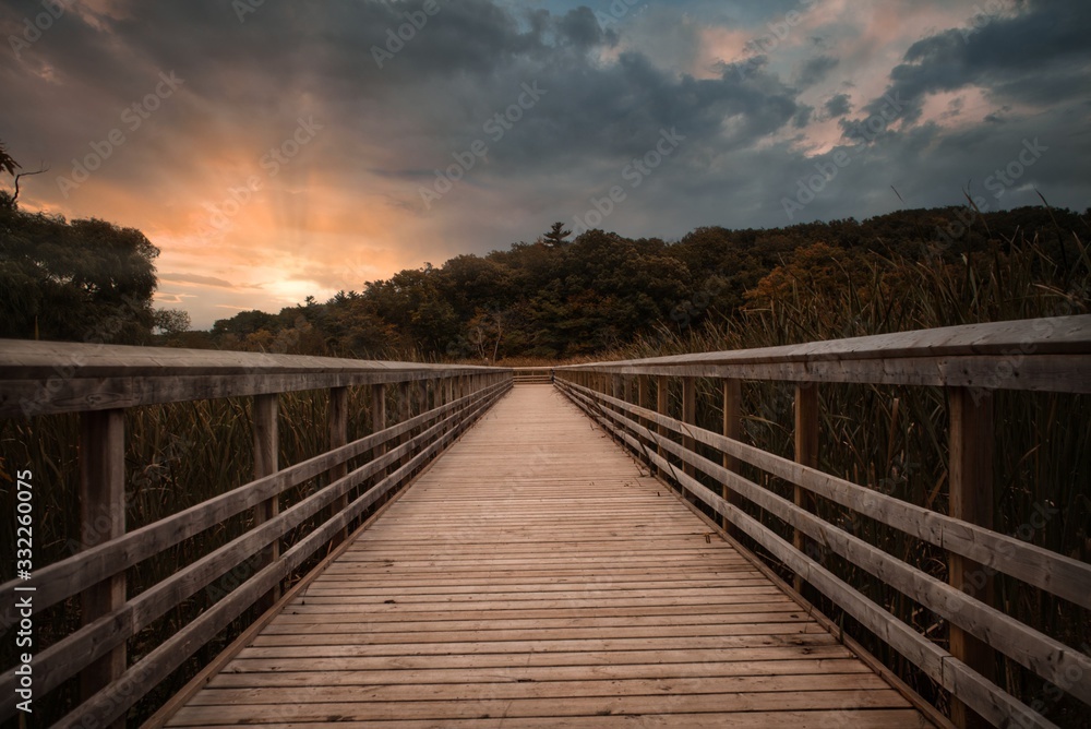 Fototapeta premium Path to freedom