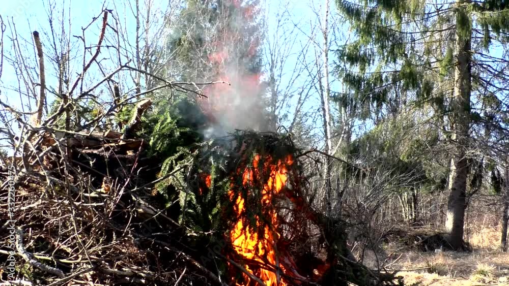 Fire destroys the trees of nature. The flames in the forest are threatening the environment. Fire destroys the trees of nature. The flames in the forest are threatening the environment.
