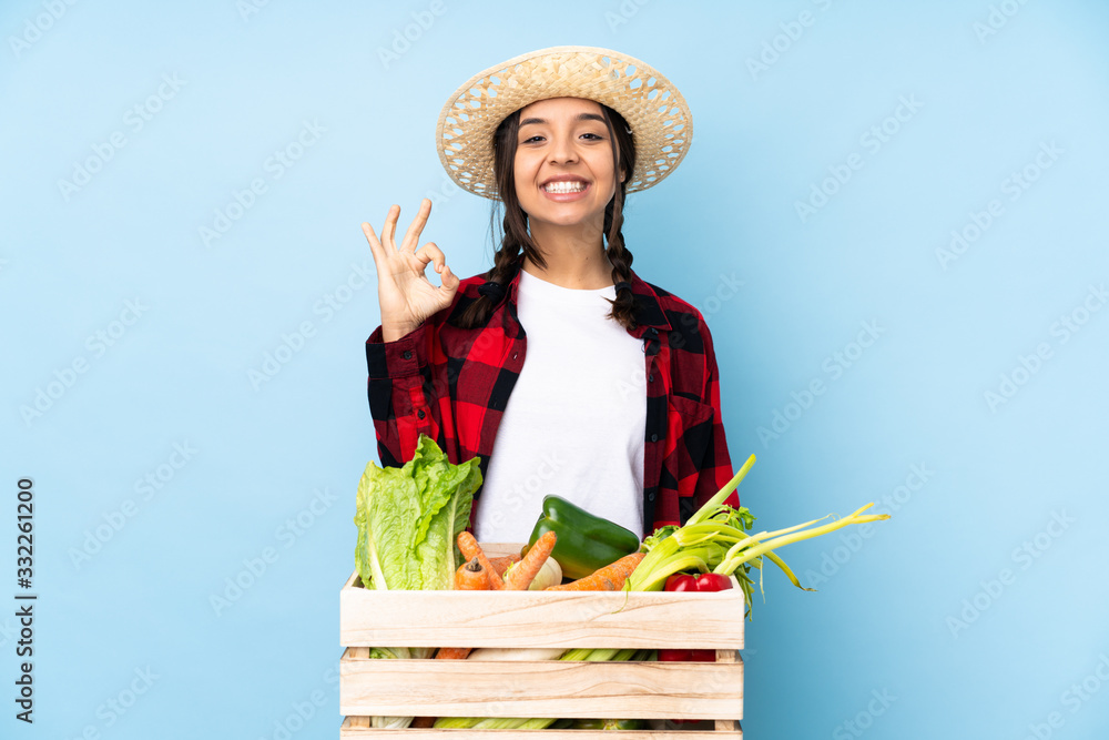 Young farmer Woman holding fresh vegetables in a wooden basket showing ok sign with fingers