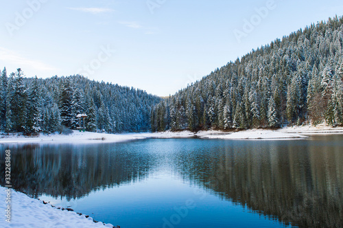 forest lake against the sky