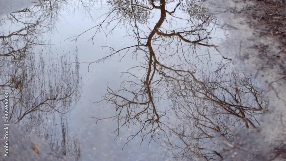 Reflection of a winter tree in a spring puddle on a cloudy day. Reflection of a winter tree in a spring puddle on a cloudy day.