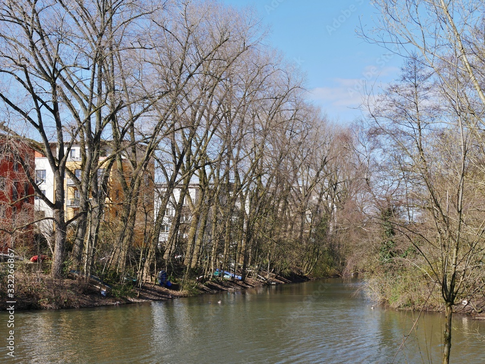 Obraz premium Bäume stehen am Kanal