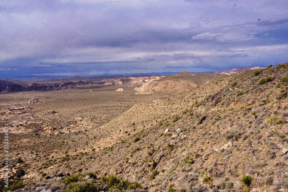 Spectacular landscape views in Joshua National Park