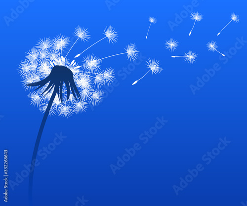 Abstract black dandelion silhouette, flying seeds of dandelion - for stock