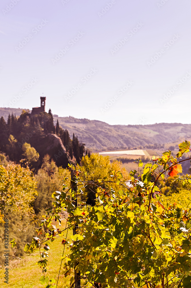 A vineyard in the sunset on a hill, a castle is visible on the horizon. Traveling in Italy. Vertical photo. Copy space