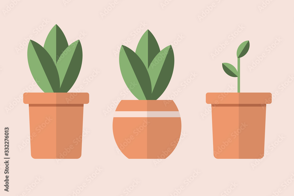 Set of simple pots with plants isolated on background. House green plant in the brown flowerpot. Vector illustration in trendy flat and linear style Set of simple pots with plants isolated on background. House green plant in the brown flowerpot. Vector illustration in trendy flat and linear style