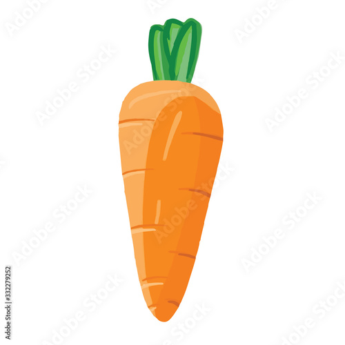 Fresh carrot isolated on white. Vector illustration in realistic style. Design for products, posters, print, stickers