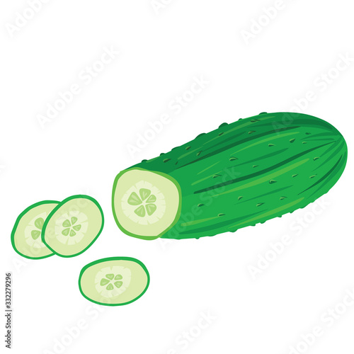 Close up cucumber slices isolated on white background. Vector vegetable illustration in cartoon vector style