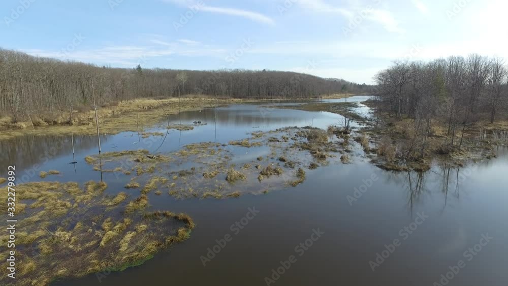 Aerial view of pond near forest Aerial view of pond near forest