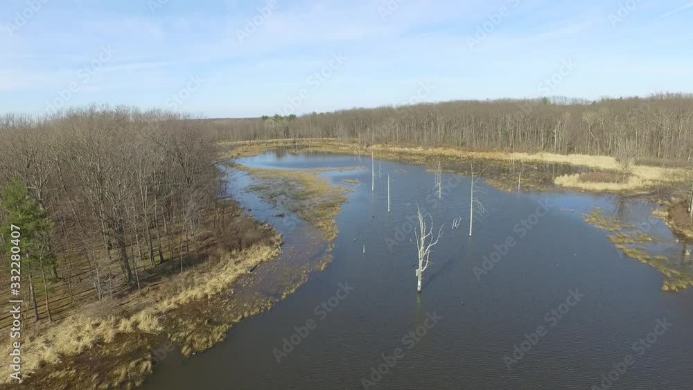 Aerial view of pond near forest Aerial view of pond near forest
