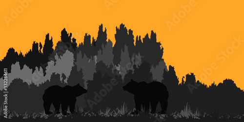 isolated silhouette of a drawn bear against a dark forest background