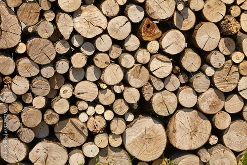 Firewood background. Old wooden texture.