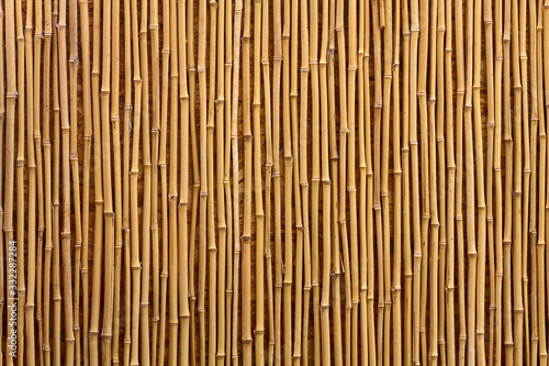 Bamboo texture. Wooden background.