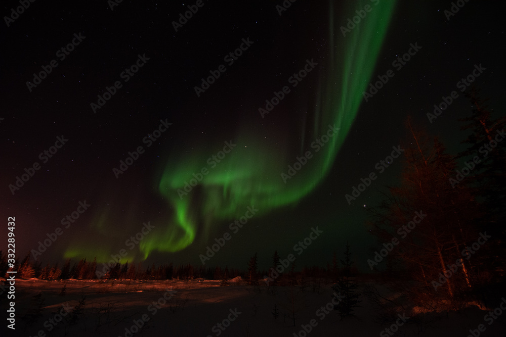northern lights in the sky