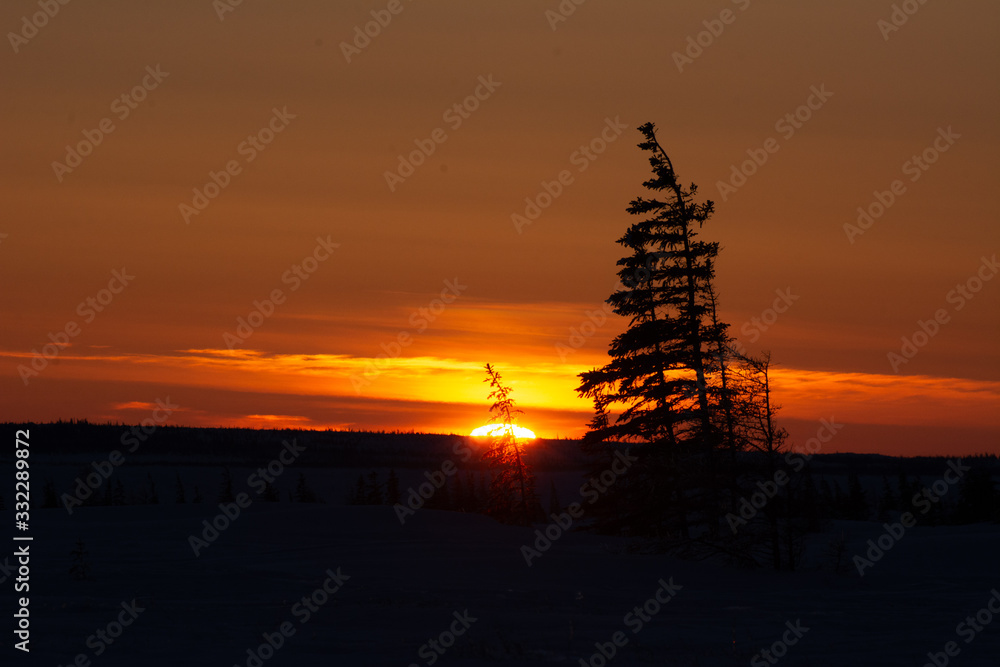 sunset over the boreal forest and treeline in churchill manitoba canada