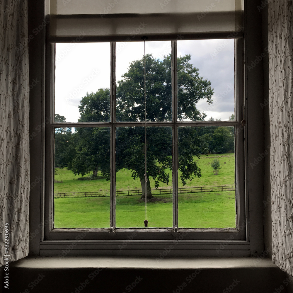 Fototapeta premium A lush green tree stands watch outside the old lead glass window