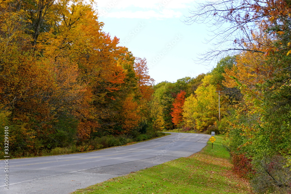 Fototapeta premium Striking fall foliage on the road near Wellesley Island State Park, New York,U.S.A