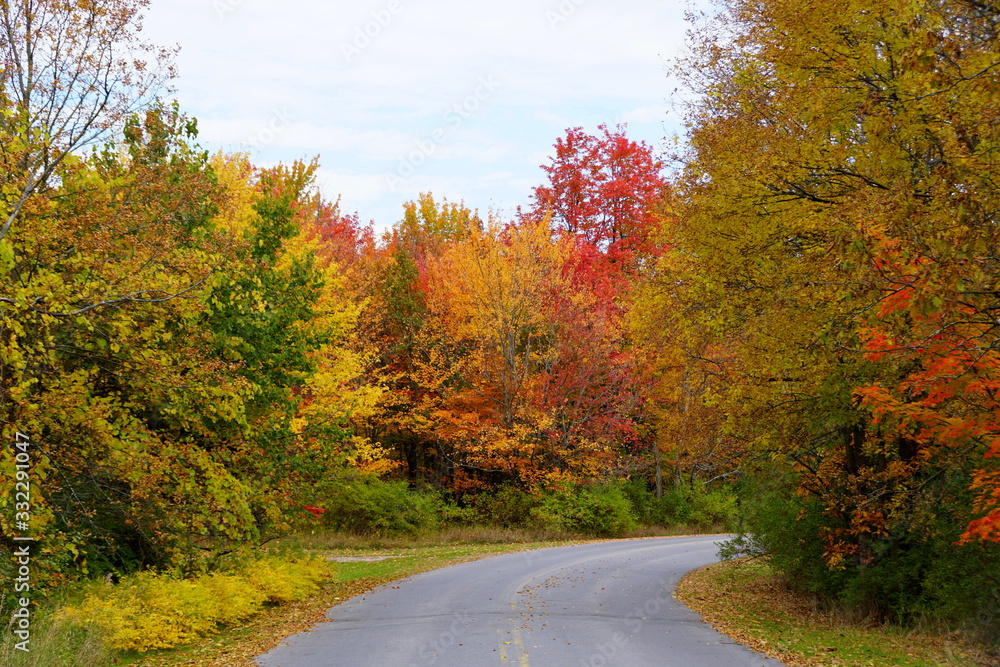 Striking fall foliage on the road near Wellesley Island State Park, New York,U.S.A