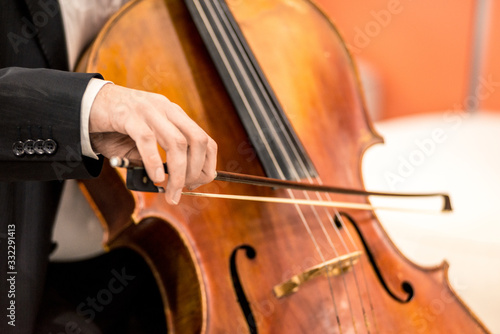 string musical instrument, viola - large violin, close up. Horizontal frame