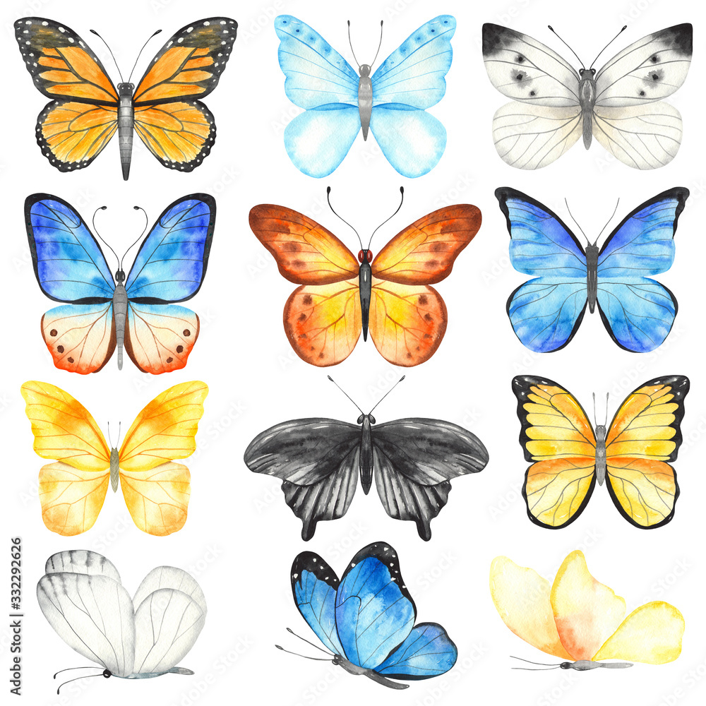Watercolor set with multicolored butterflies. Hand painted clipart