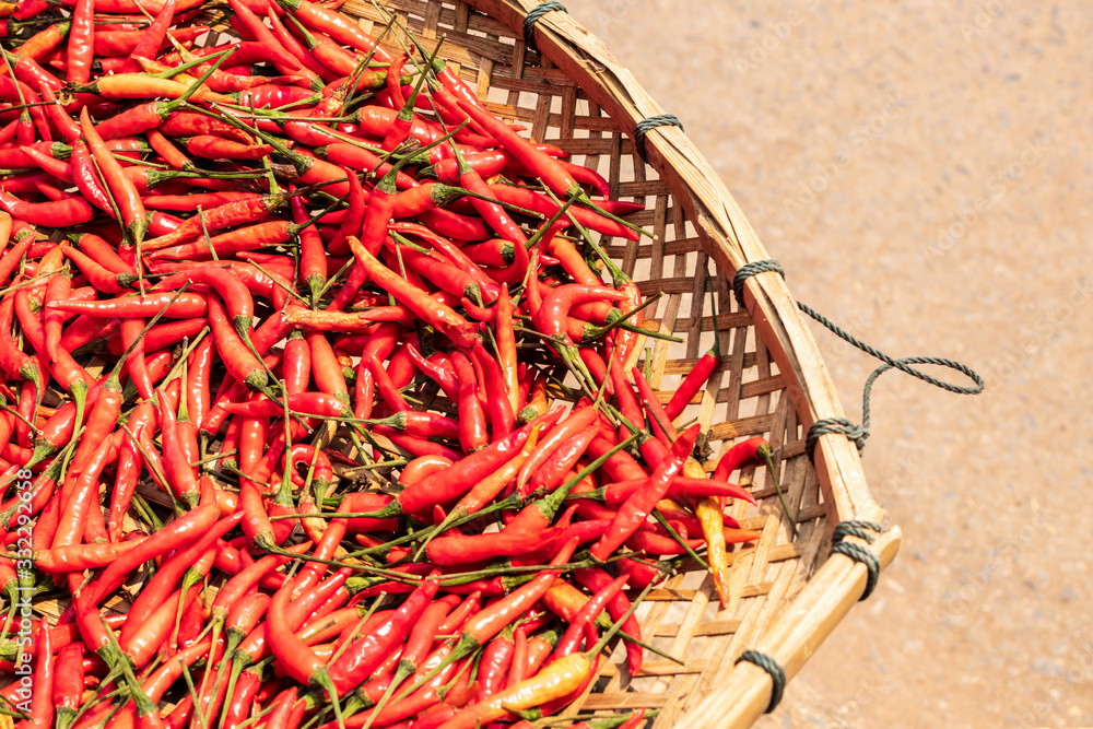 Fototapeta premium Many red chillies lay in a basket during the day time in the sun.