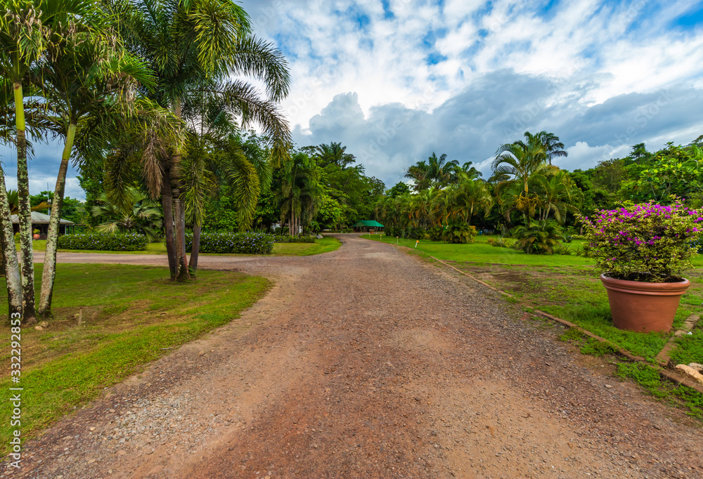 Eco Wellness Nature Resort In Suriname