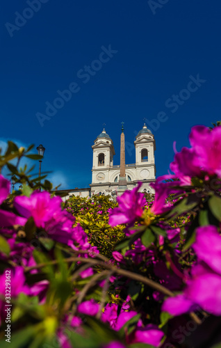 Spring in Rome. Spanish Steps full of azalea or rhododendron flowers (with copy space above)