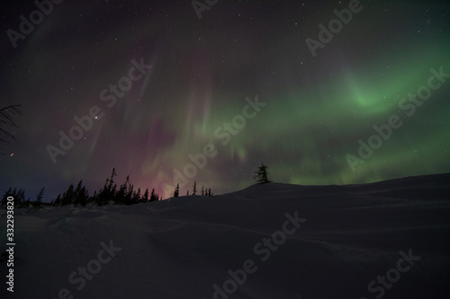 northern lights in churchill manitoba canada