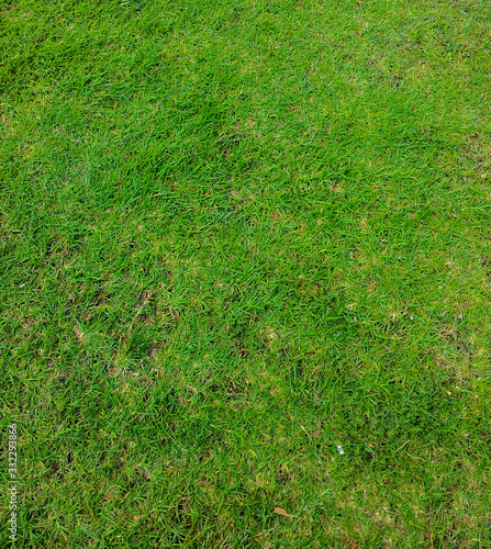 Natural grass pattern