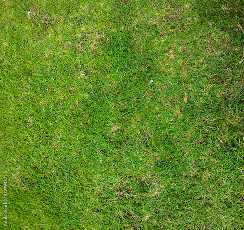 Natural grass pattern