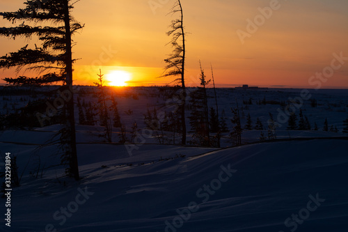 sunset over the tree line in churchill manitoba canada