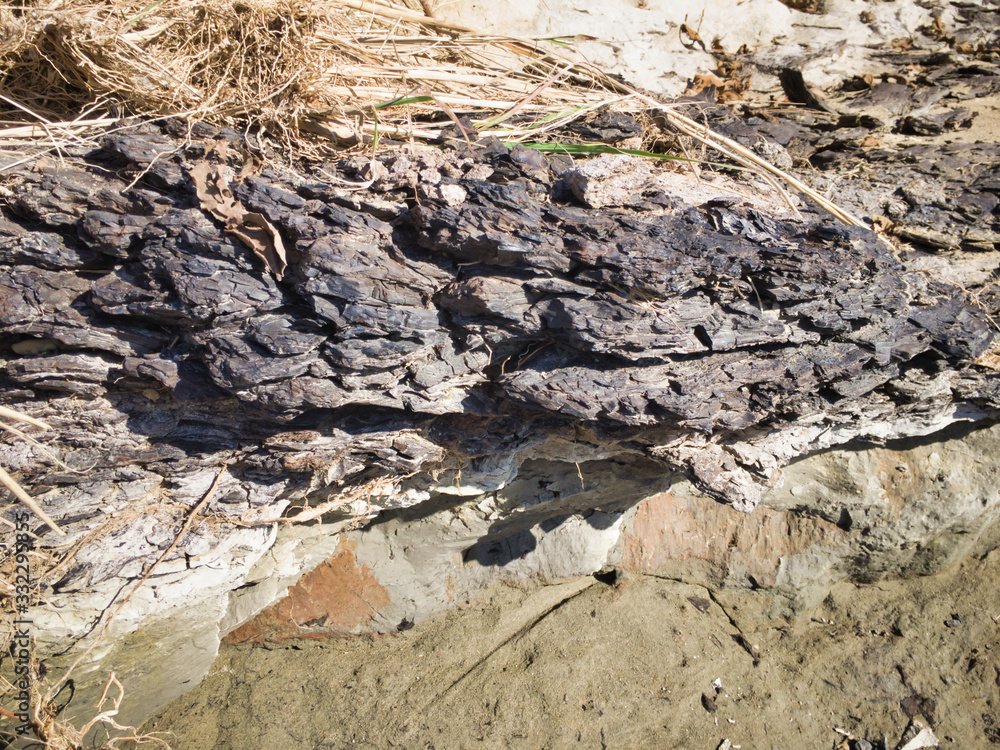 2020 shocking sight. Miracle fossils. A scene created by lava flowing