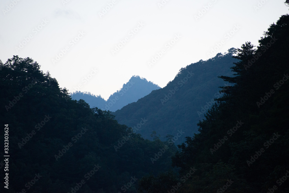 giant panda habitat in the mountains of south western china giant panda habitat in the mountains of south western china