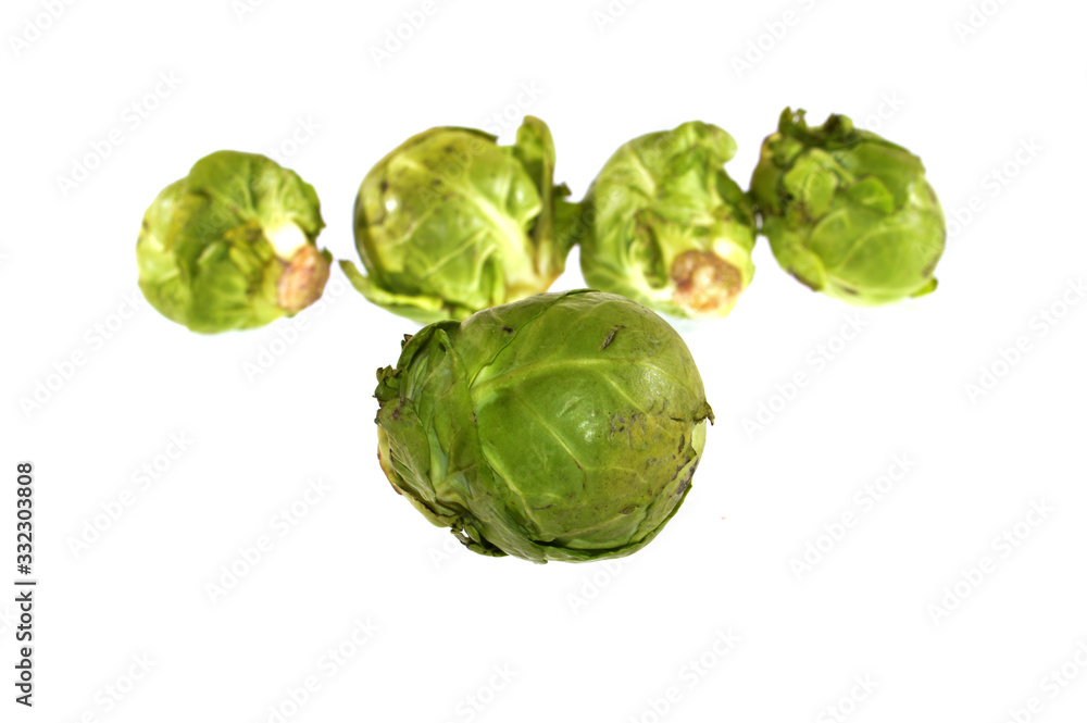 head of cabbage isolated on white background head of cabbage isolated on white background