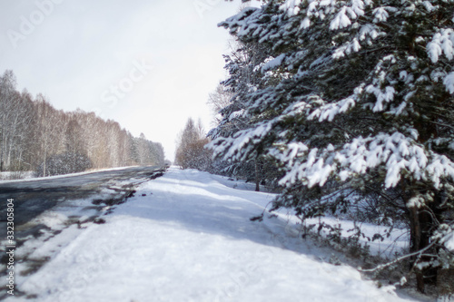 Winter Snow forest tree road Chelyabinsk