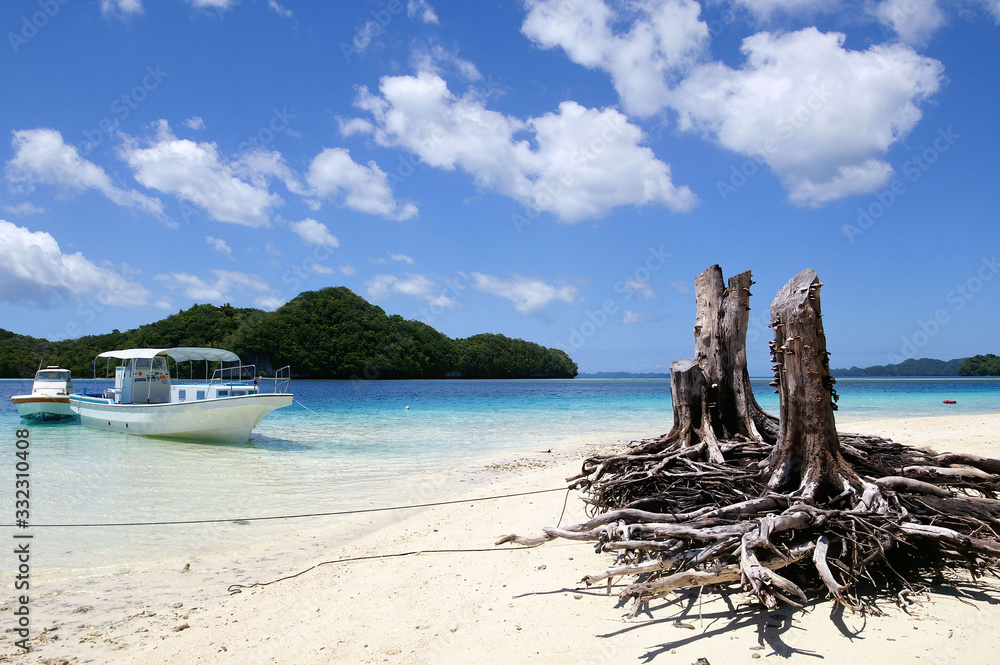 Beautiful natural landscape of the rock islands at Micronesian Country Beautiful natural landscape of the rock islands at Micronesian Country