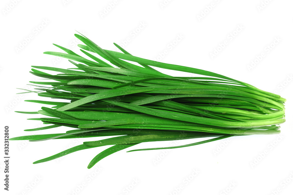 close up fresh chives isolated on white background close up fresh chives isolated on white background