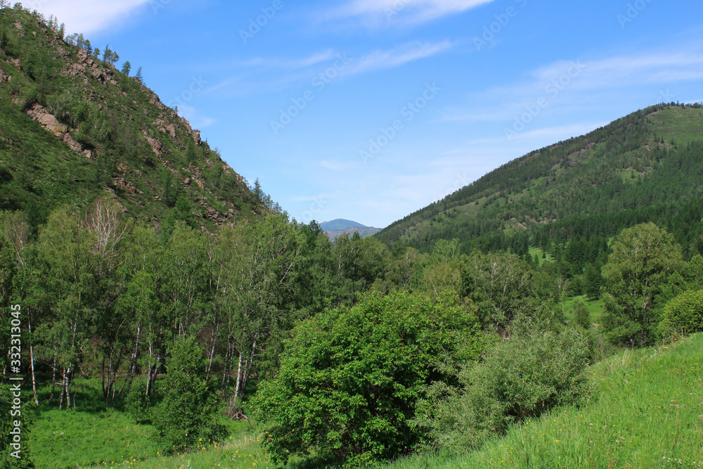 blue sky with light white. Green hills on which green trees grow converge. Landscape