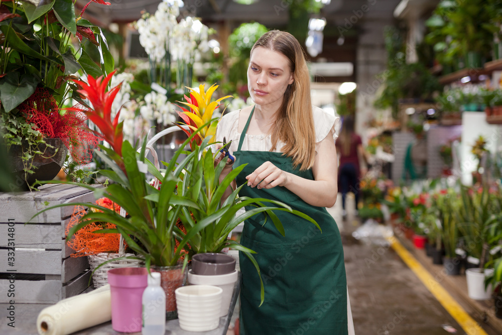 Positive woman picking a bromelia flower in the flower shop