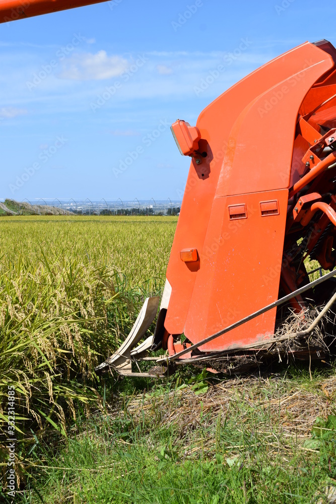 新米の収穫 コンバイン